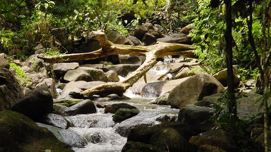 phuket photos daylife bang pae waterfall