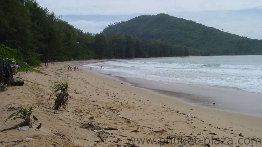 phuket photos beaches nai yang beach