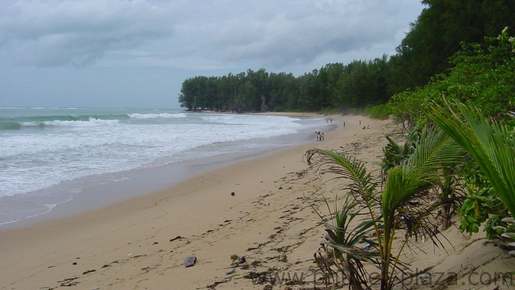 phuket photos beaches nai yang beach