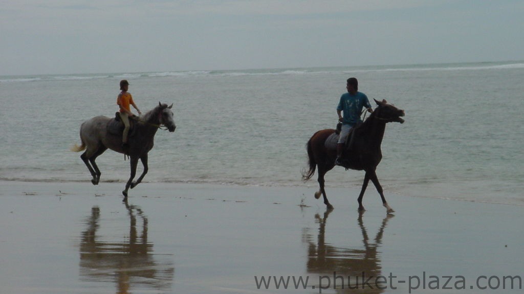 phuket photos beaches nai yang beach