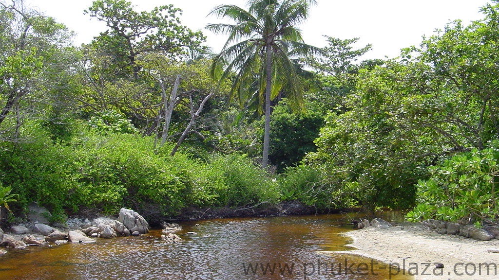 phuket photos daylife islands racha