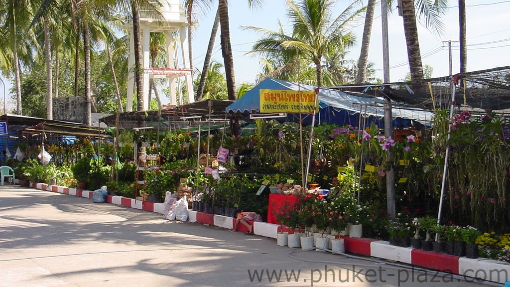 phuket photos daylife chalong wat chalong