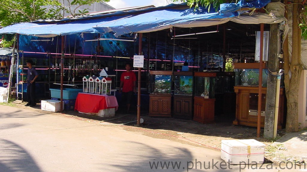 phuket photos daylife chalong wat chalong