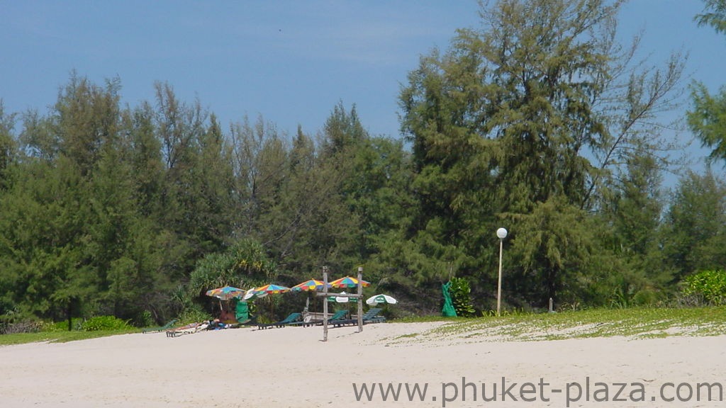 phuket photos beaches bang thao beach