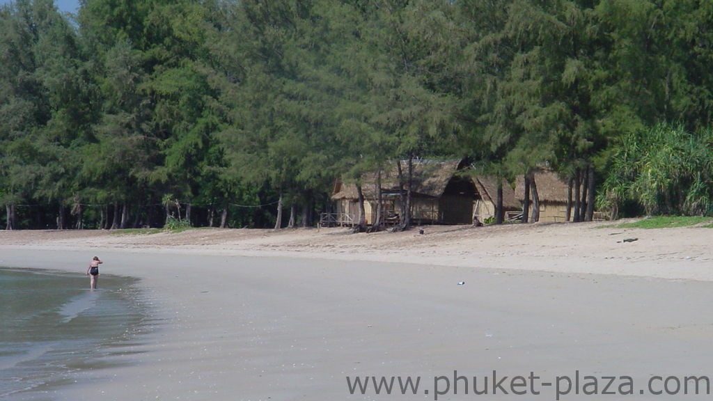 phuket photos beaches nai yang beach