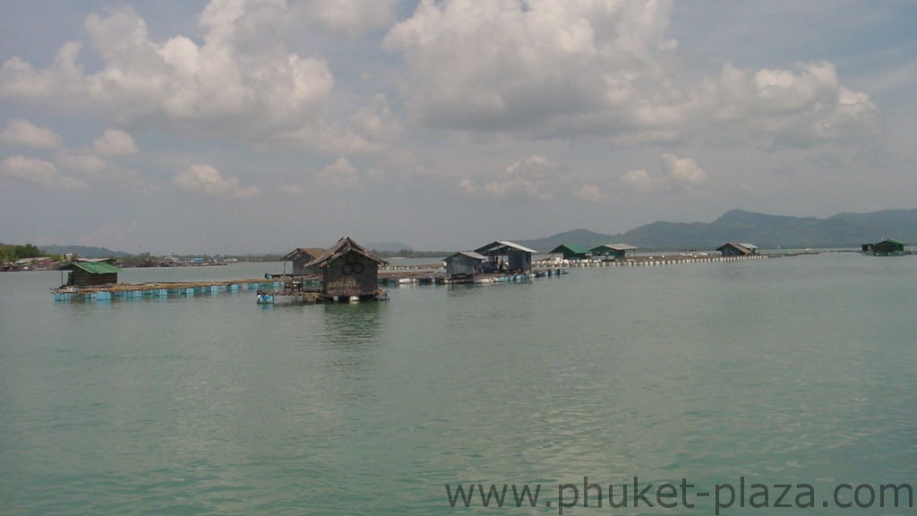 phuket photos daylife phuket town floating restaurant