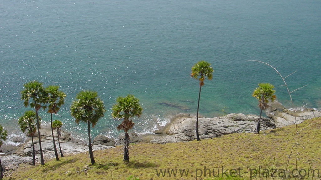 phuket photos daylife viewpoints nai harn