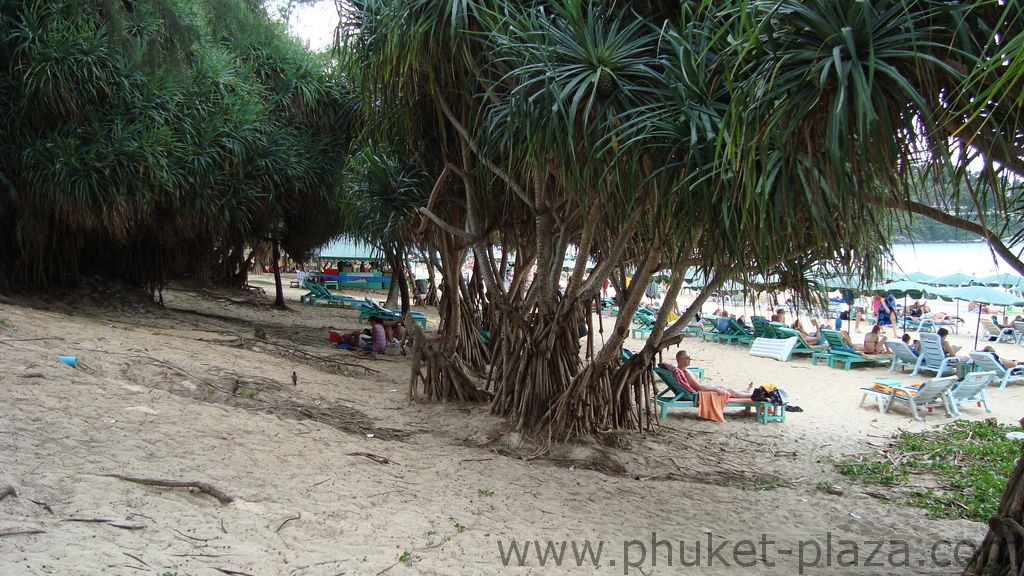 phuket photos beaches kata beach