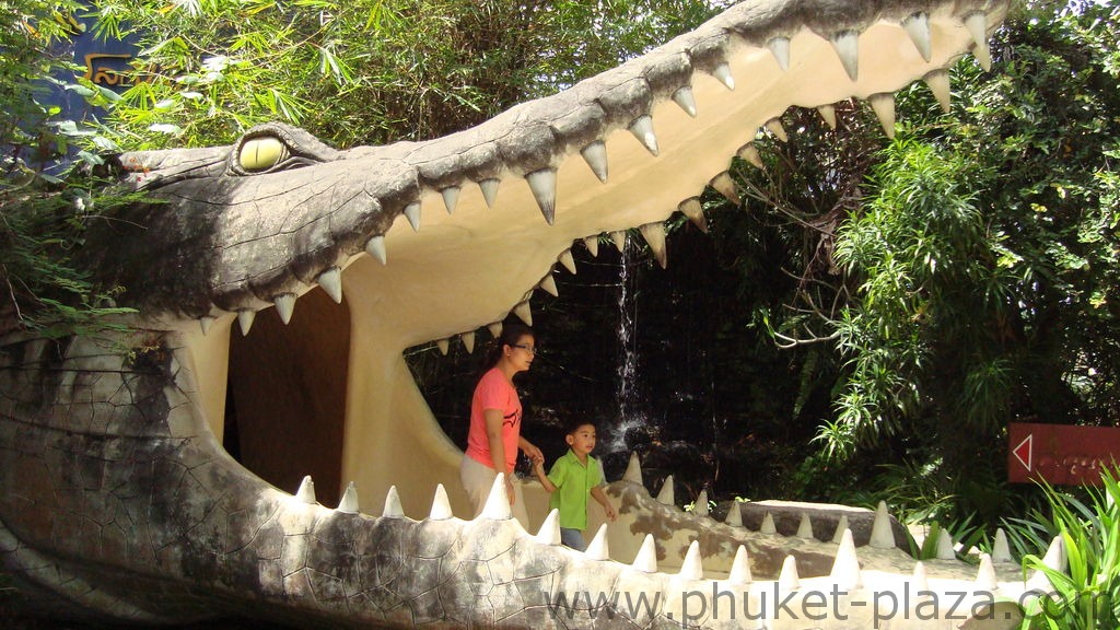 phuket photos activities phuket zoo around