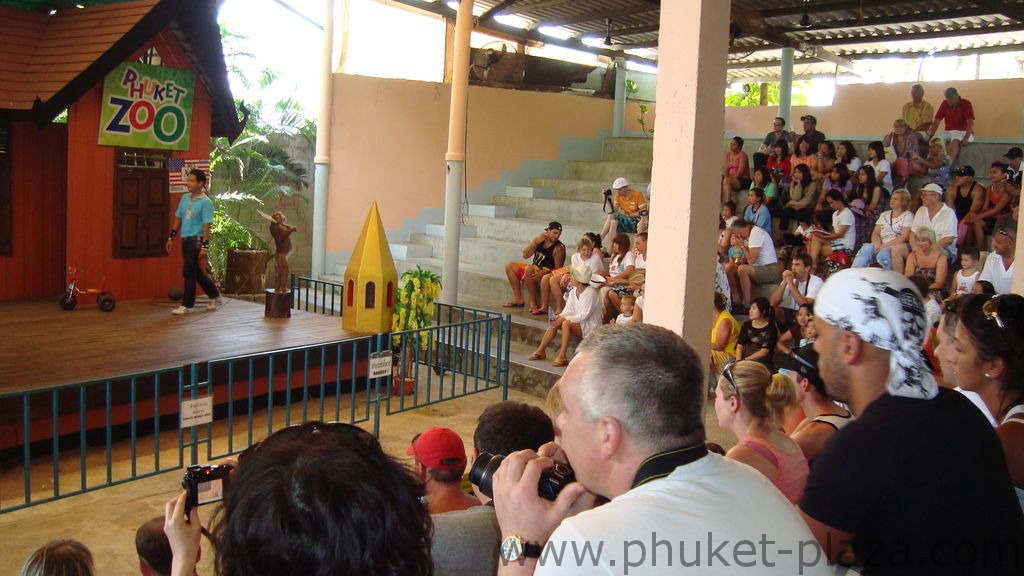 phuket photos activities phuket zoo monkey show