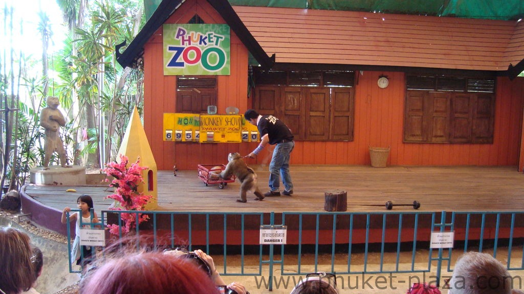 phuket photos activities phuket zoo monkey show