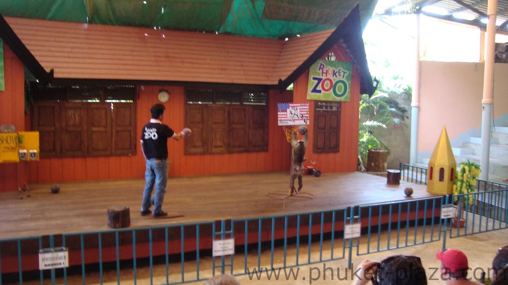 phuket photos activities phuket zoo monkey show