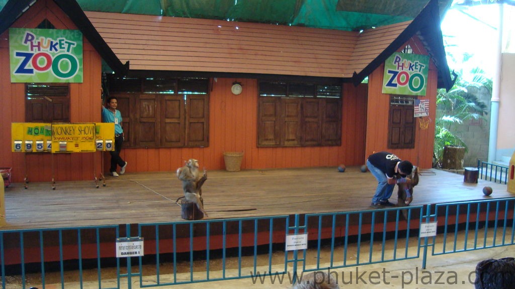 phuket photos activities phuket zoo monkey show