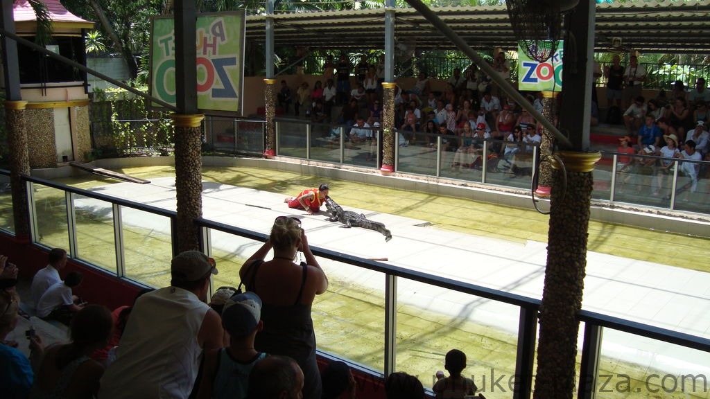 phuket photos activities phuket zoo crocodile show