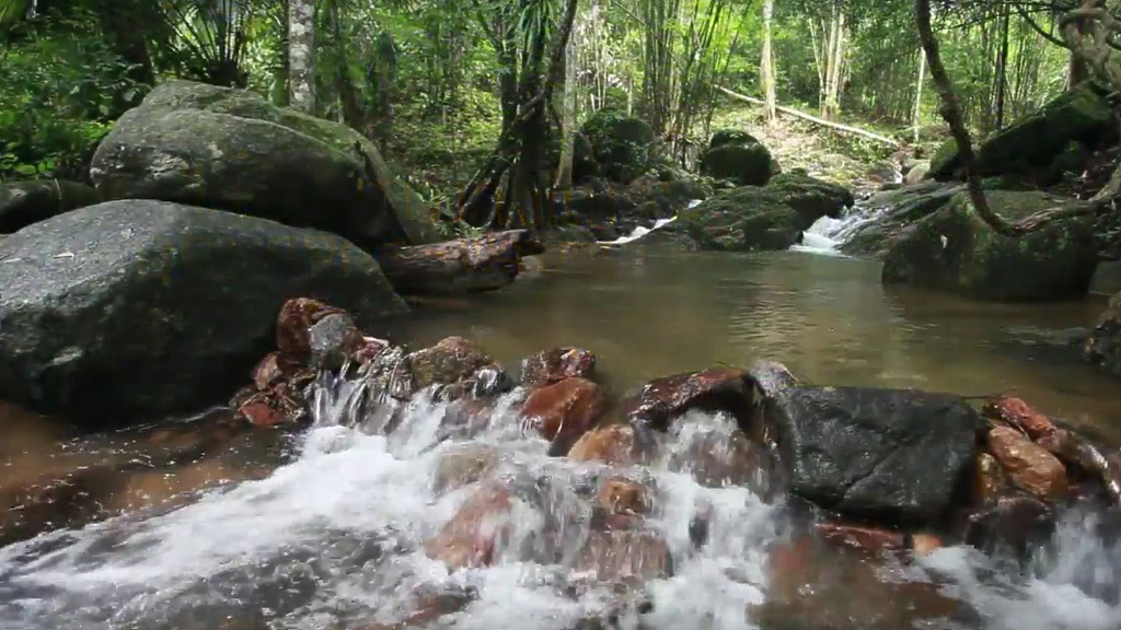 attractions bang pae waterfall