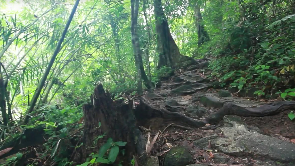 attractions bang pae waterfall