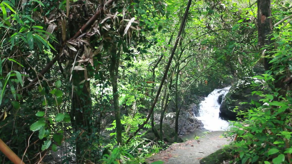 phuket photos attractions bang pae waterfall