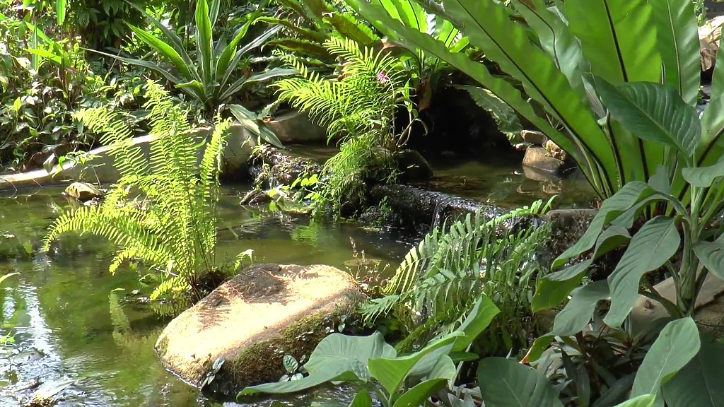 attractions phuket butterfly garden