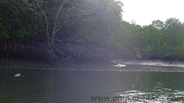 phuket photos daylife phagna bay in the bay