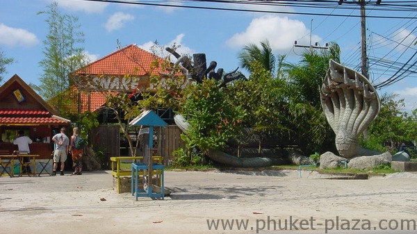 phuket photos daylife patong snake farm
