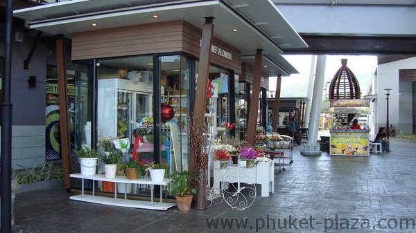phuket photos shopping homepro village