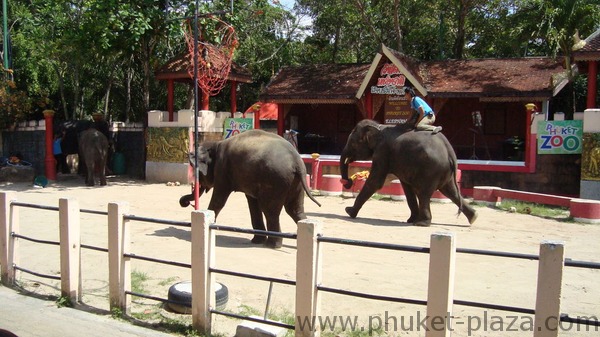 phuket photos activities