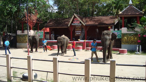 phuket photos activities