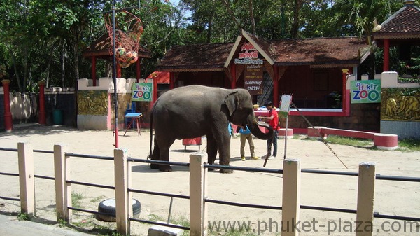 phuket photos activities