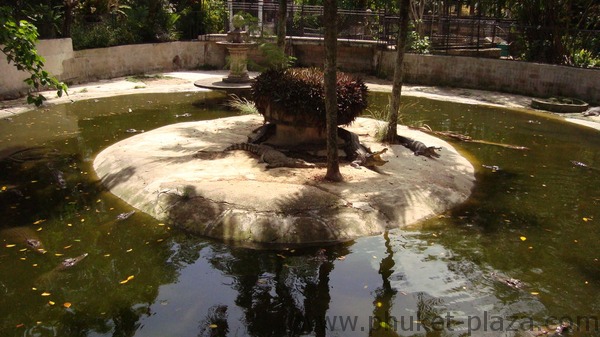 phuket photos activities