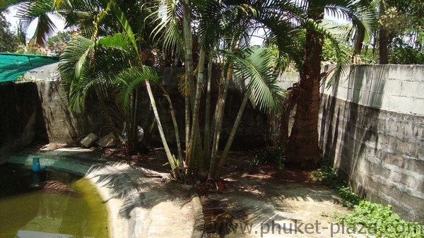 phuket photos activities