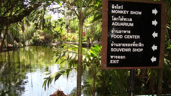 phuket photos activities