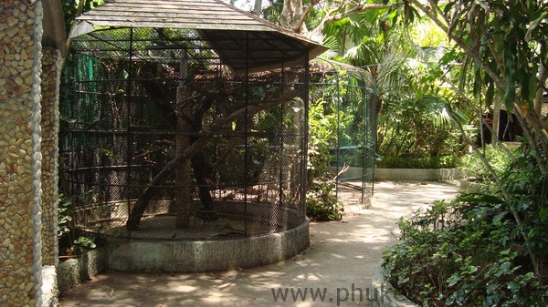 phuket photos activities