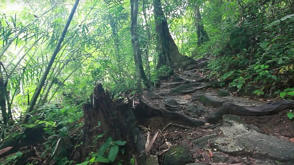 phuket photos attractions bang pae waterfall