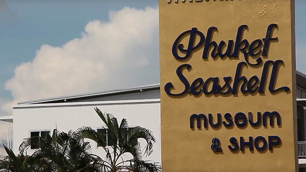 phuket photos attractions phuket seashell museum